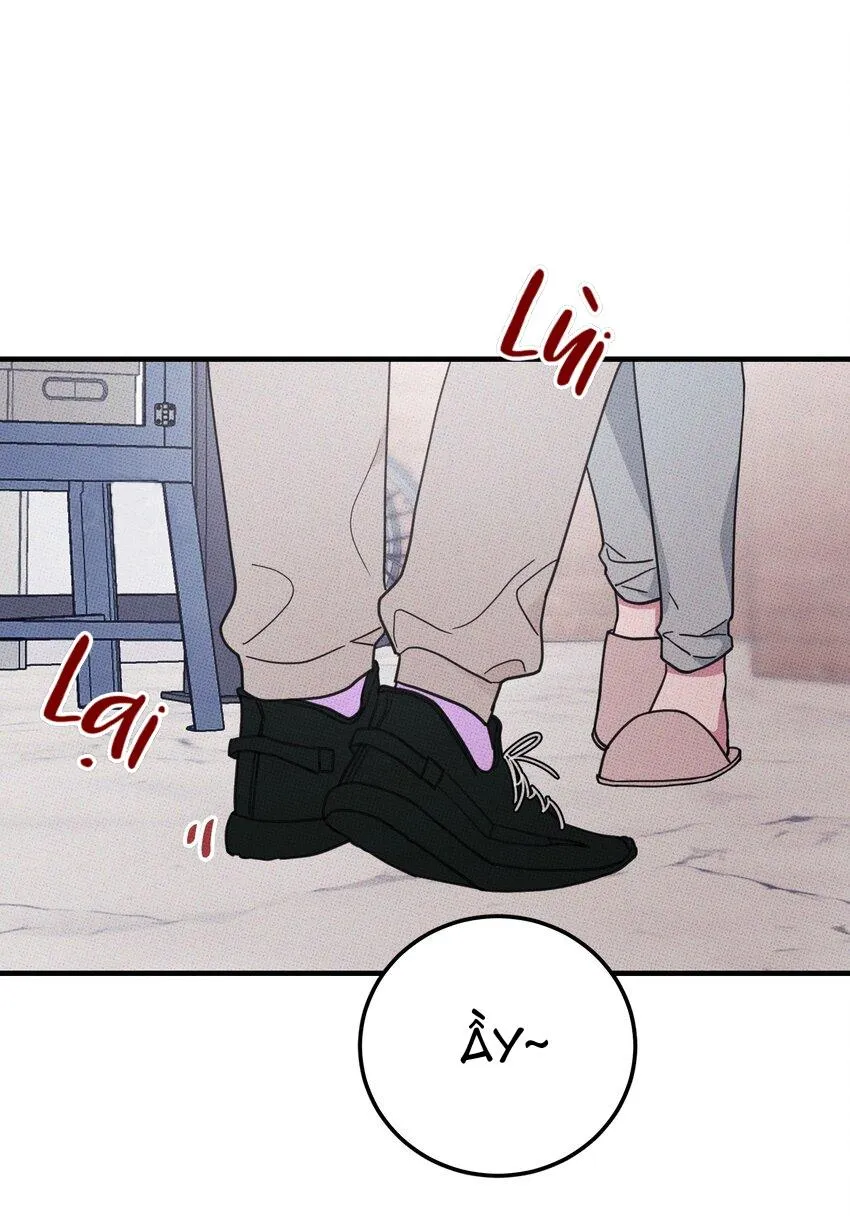 Hộp Bánh Quy Định Mệnh (END) Chapter 11 Trang 34