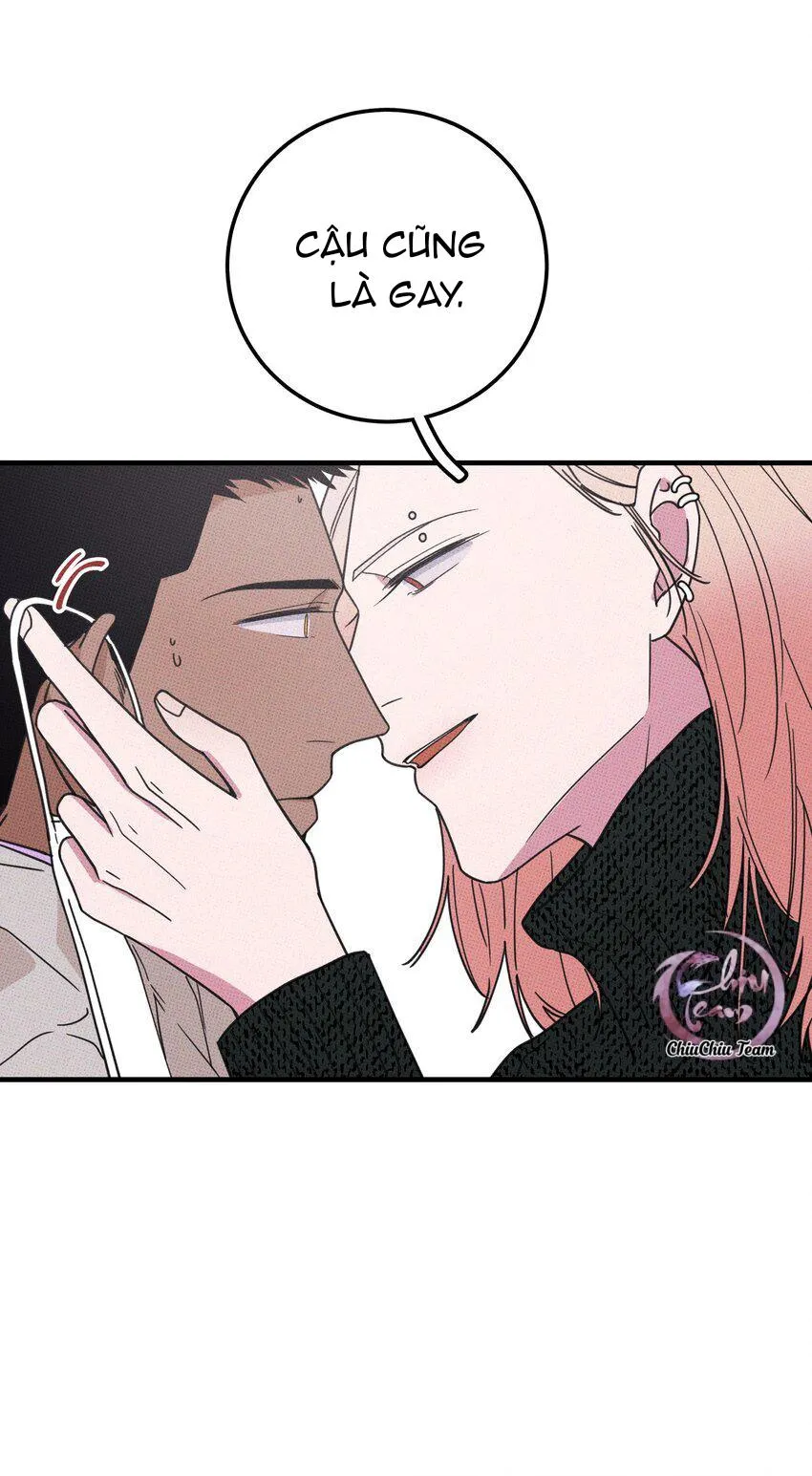 Hộp Bánh Quy Định Mệnh (END) Chapter 11 Trang 36