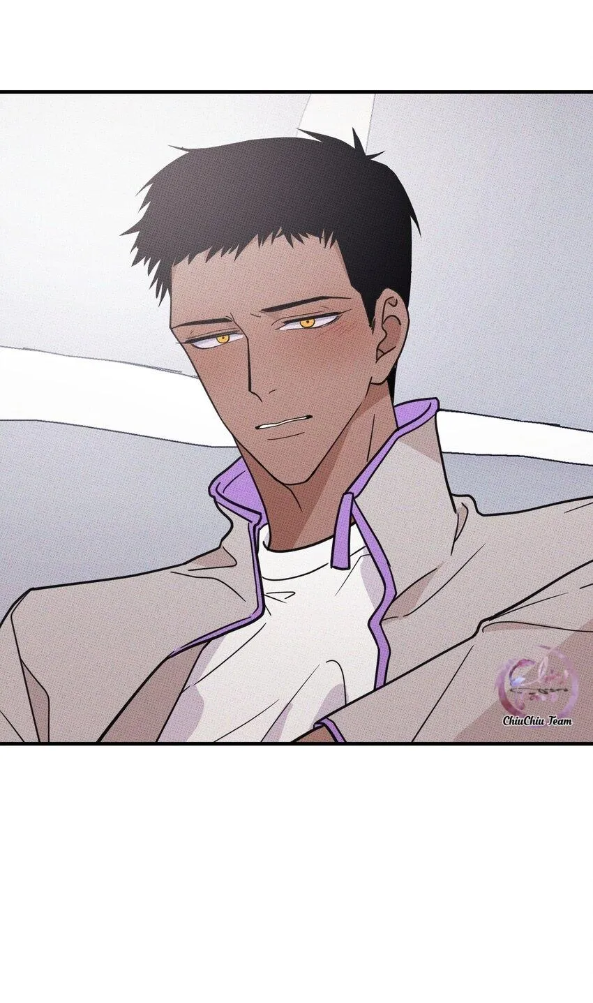 Hộp Bánh Quy Định Mệnh (END) Chapter 11 Trang 43