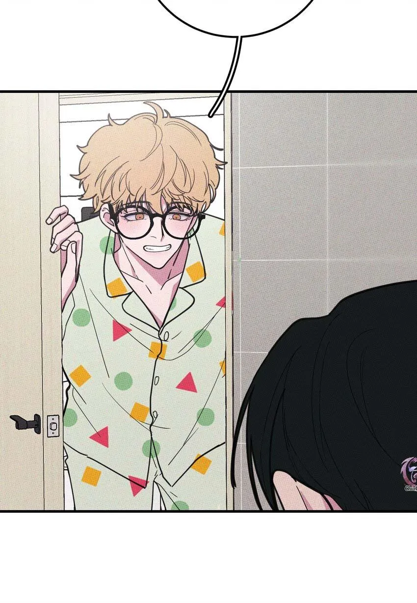 Hộp Bánh Quy Định Mệnh (END) Chapter 12 Trang 5