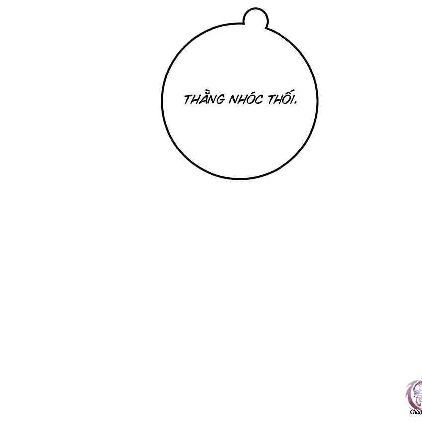Hộp Bánh Quy Định Mệnh (END) Chapter 12 Trang 14