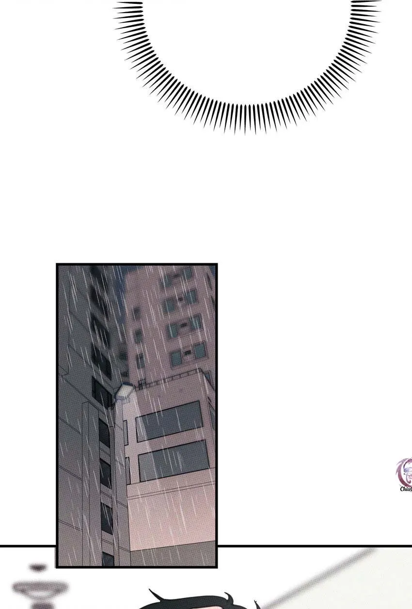 Hộp Bánh Quy Định Mệnh (END) Chapter 12 Trang 42