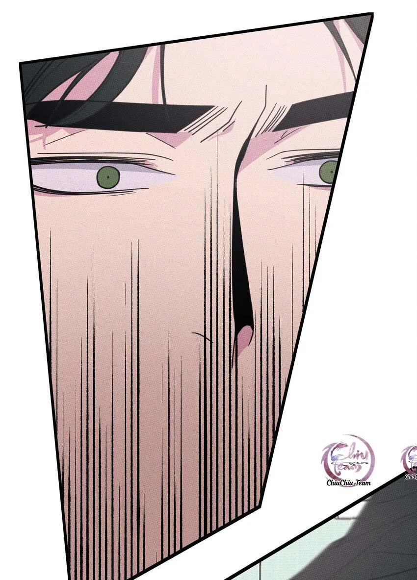 Hộp Bánh Quy Định Mệnh (END) Chapter 13 Trang 3