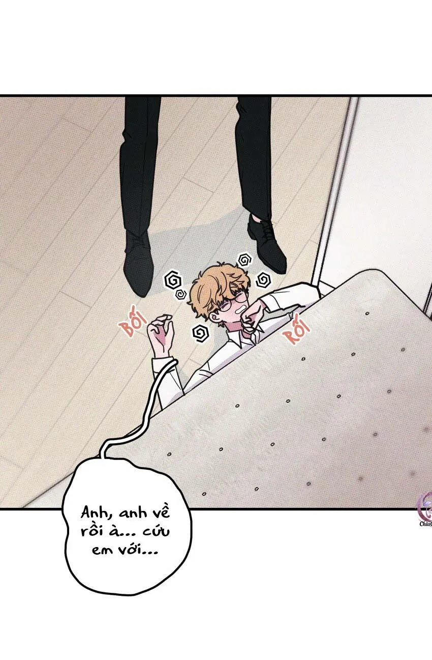 Hộp Bánh Quy Định Mệnh (END) Chapter 13 Trang 5