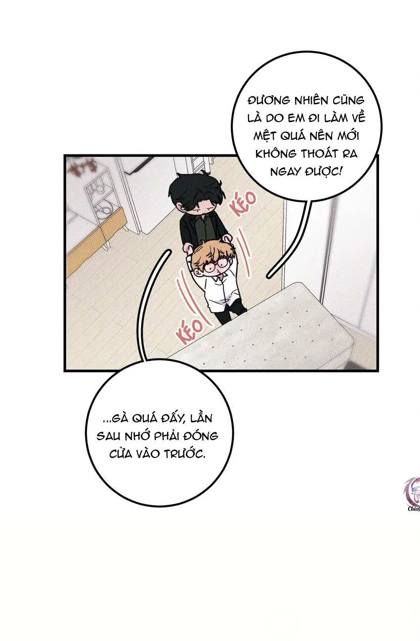 Hộp Bánh Quy Định Mệnh (END) Chapter 13 Trang 9