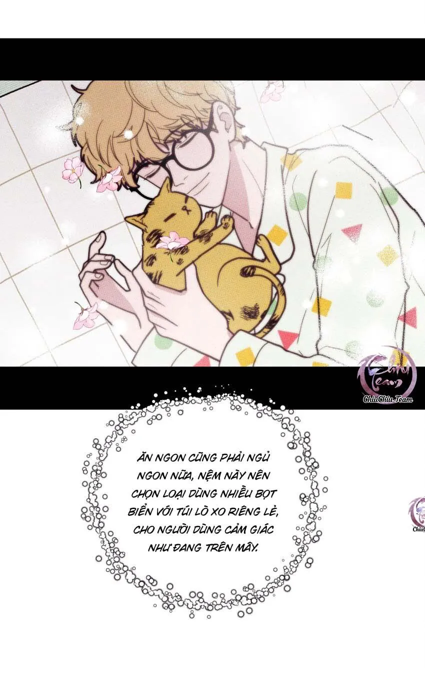 Hộp Bánh Quy Định Mệnh (END) Chapter 13 Trang 14