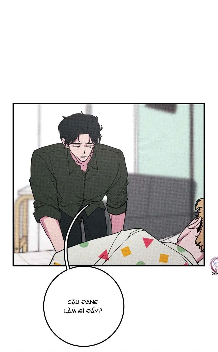 Hộp Bánh Quy Định Mệnh (END) Chapter 13 Trang 15