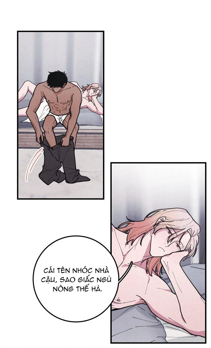 Hộp Bánh Quy Định Mệnh (END) Chapter 14 Trang 7