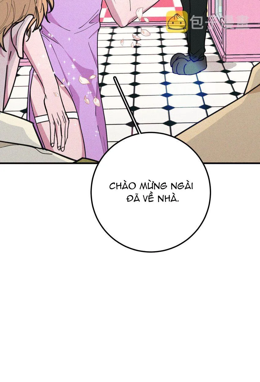 Hộp Bánh Quy Định Mệnh (END) Chapter 14 Trang 43