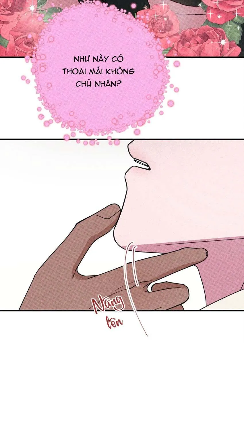 Hộp Bánh Quy Định Mệnh (END) Chapter 15 Trang 28