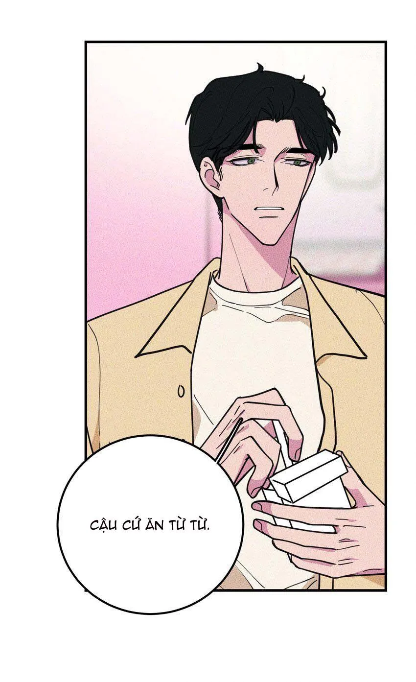 Hộp Bánh Quy Định Mệnh (END) Chapter 15 Trang 33