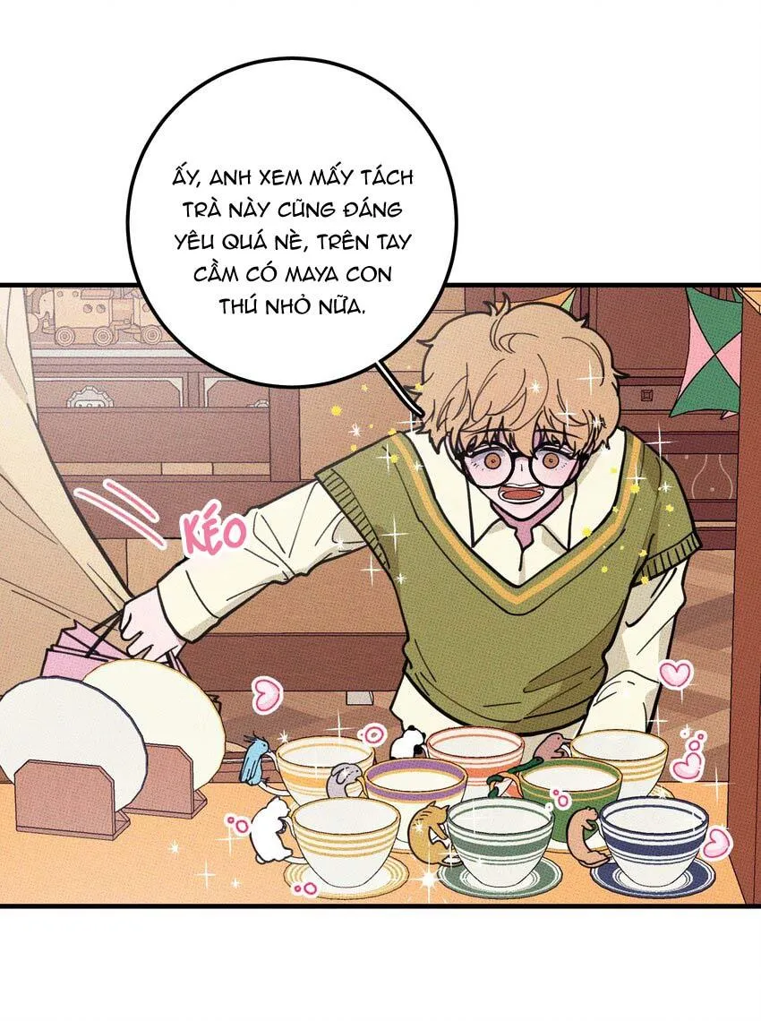 Hộp Bánh Quy Định Mệnh (END) Chapter 16 Trang 11