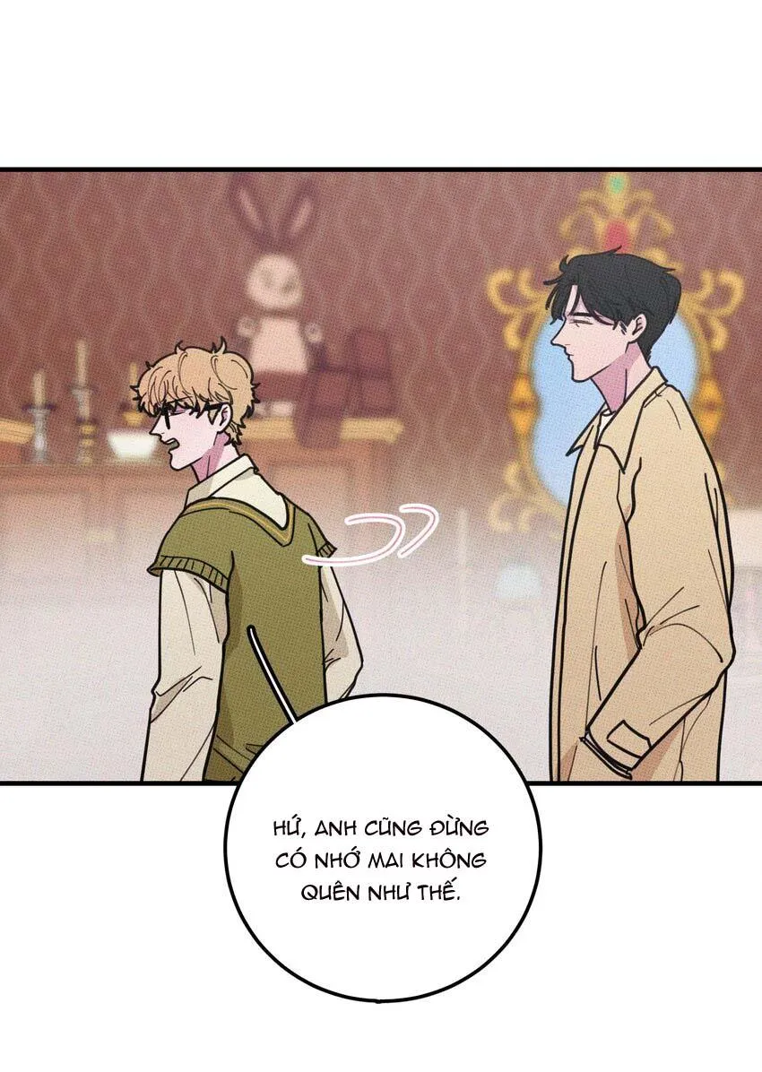 Hộp Bánh Quy Định Mệnh (END) Chapter 16 Trang 13