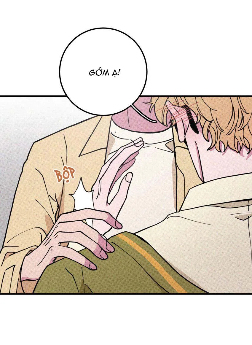 Hộp Bánh Quy Định Mệnh (END) Chapter 16 Trang 31