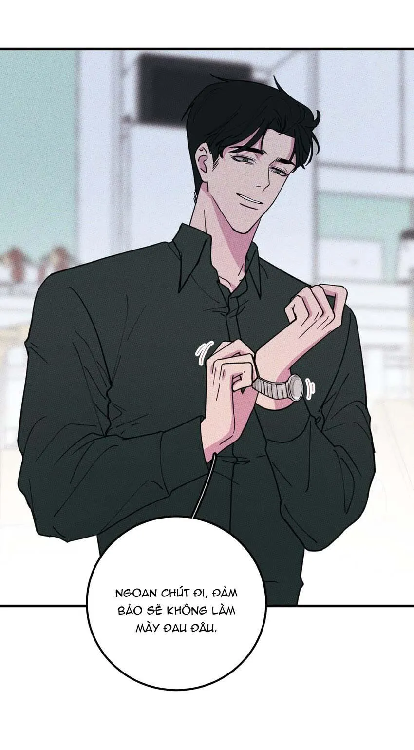 Hộp Bánh Quy Định Mệnh (END) Chapter 17 Trang 3
