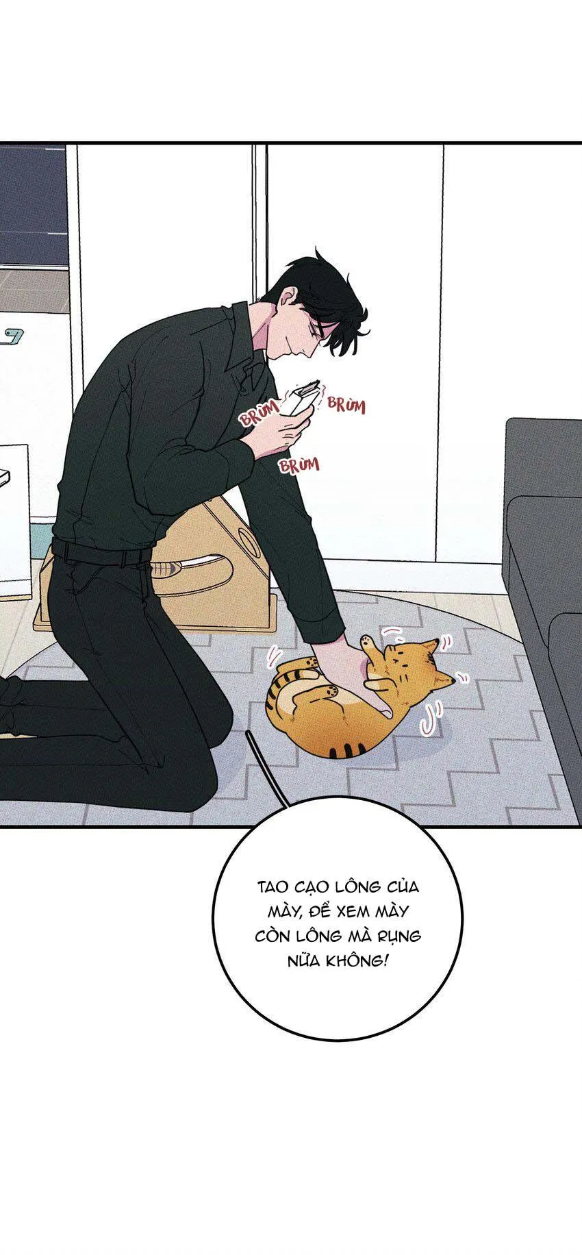 Hộp Bánh Quy Định Mệnh (END) Chapter 17 Trang 5