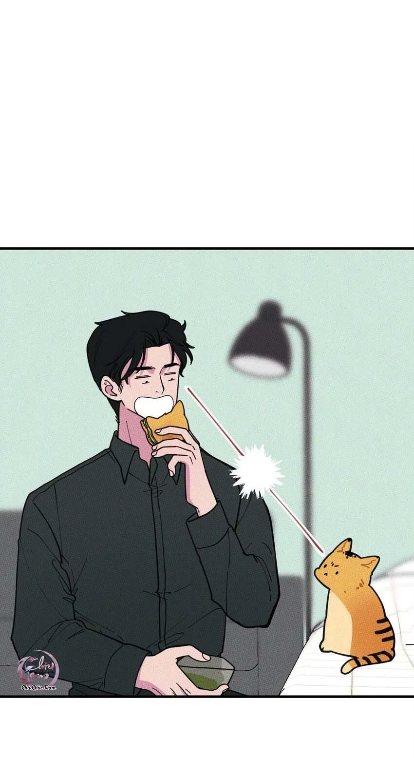 Hộp Bánh Quy Định Mệnh (END) Chapter 17 Trang 13