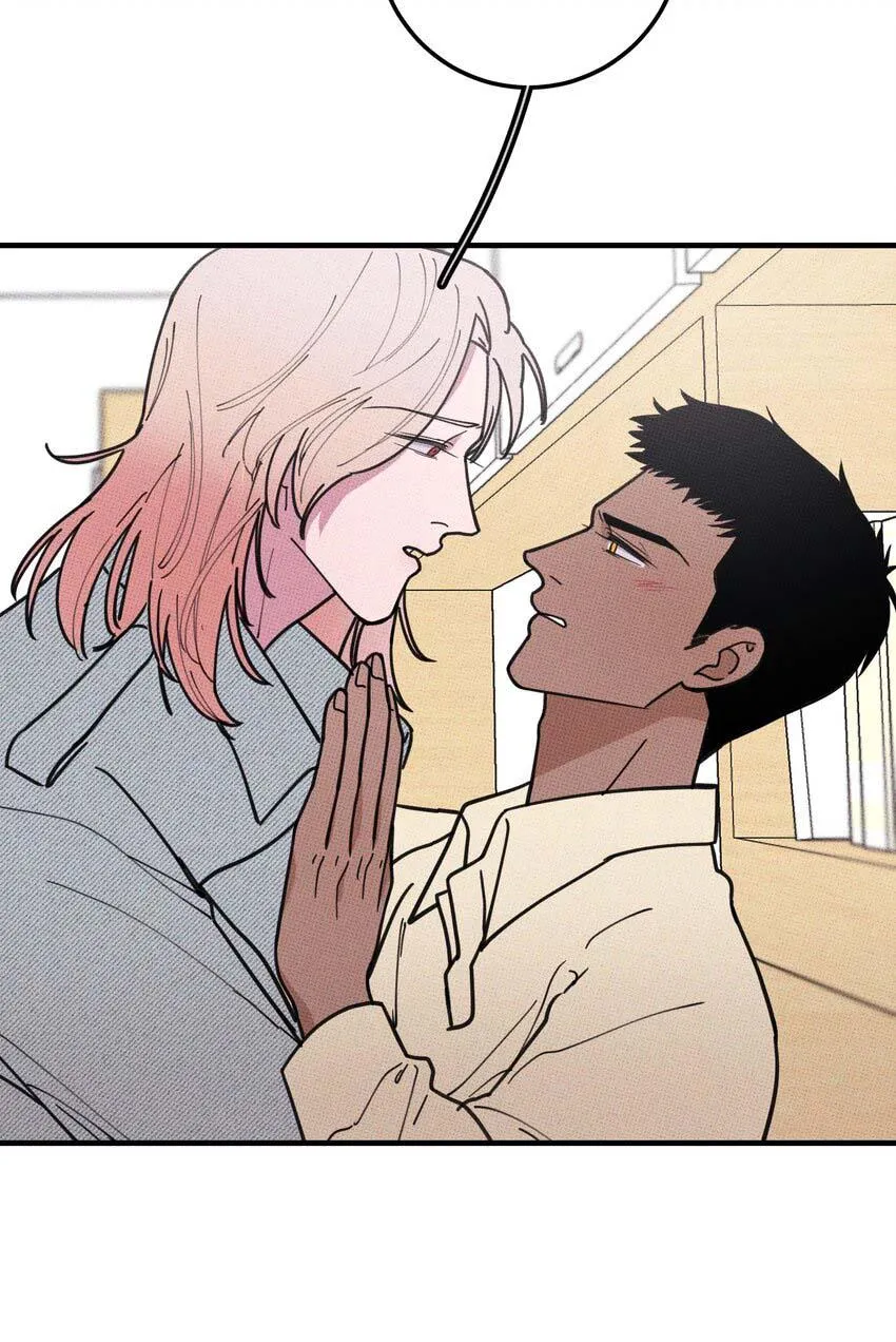 Hộp Bánh Quy Định Mệnh (END) Chapter 17 Trang 31