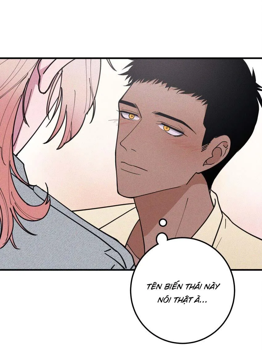 Hộp Bánh Quy Định Mệnh (END) Chapter 17 Trang 32