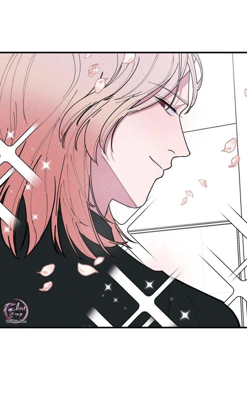 Hộp Bánh Quy Định Mệnh (END) Chapter 17 Trang 44