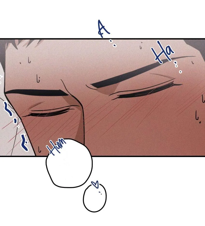 Hộp Bánh Quy Định Mệnh (END) Chapter 18 Trang 7