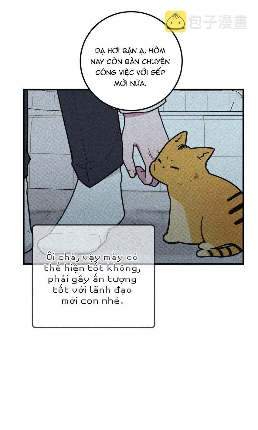 Hộp Bánh Quy Định Mệnh (END) Chapter 18 Trang 37