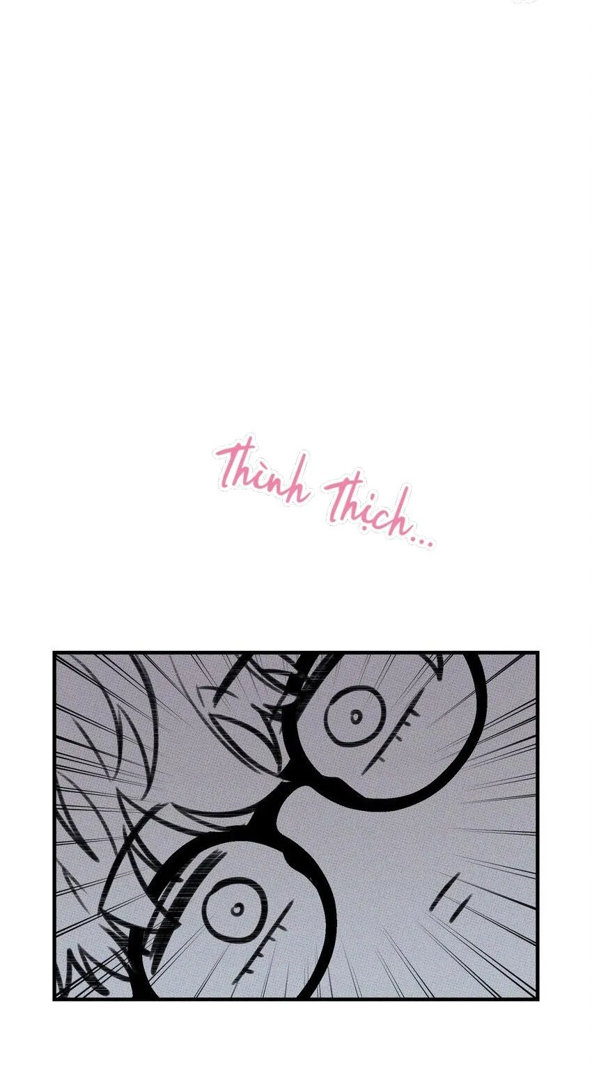 Hộp Bánh Quy Định Mệnh (END) Chapter 19 Trang 22