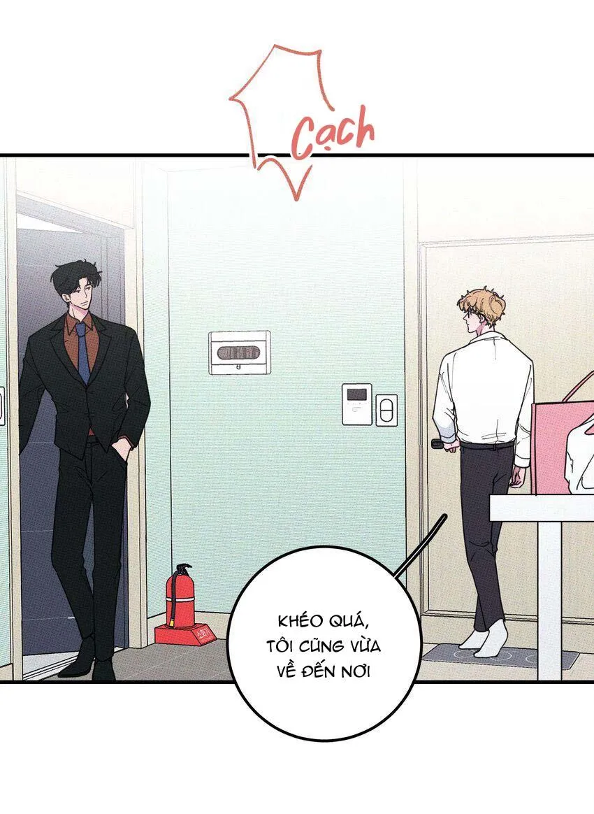 Hộp Bánh Quy Định Mệnh (END) Chapter 20 Trang 21