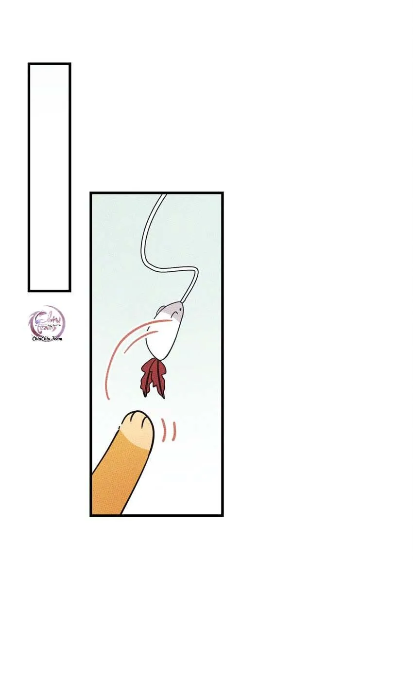 Hộp Bánh Quy Định Mệnh (END) Chapter 20 Trang 42