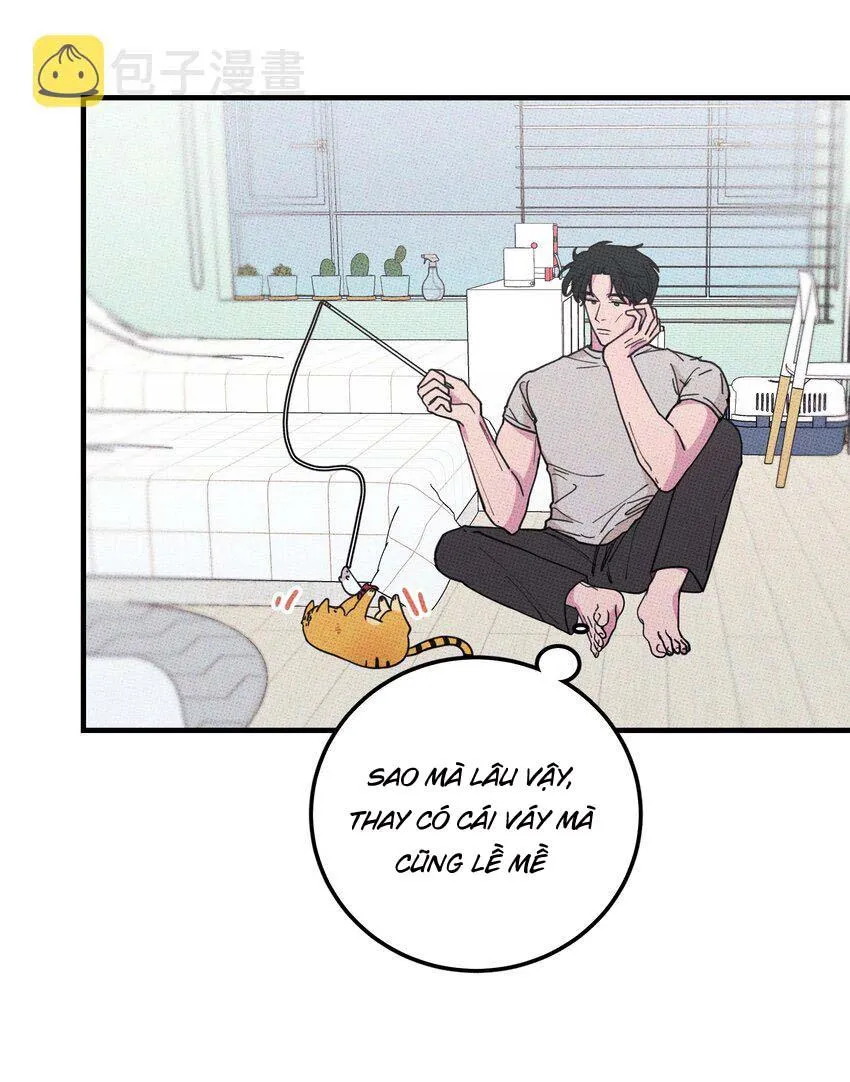 Hộp Bánh Quy Định Mệnh (END) Chapter 20 Trang 43