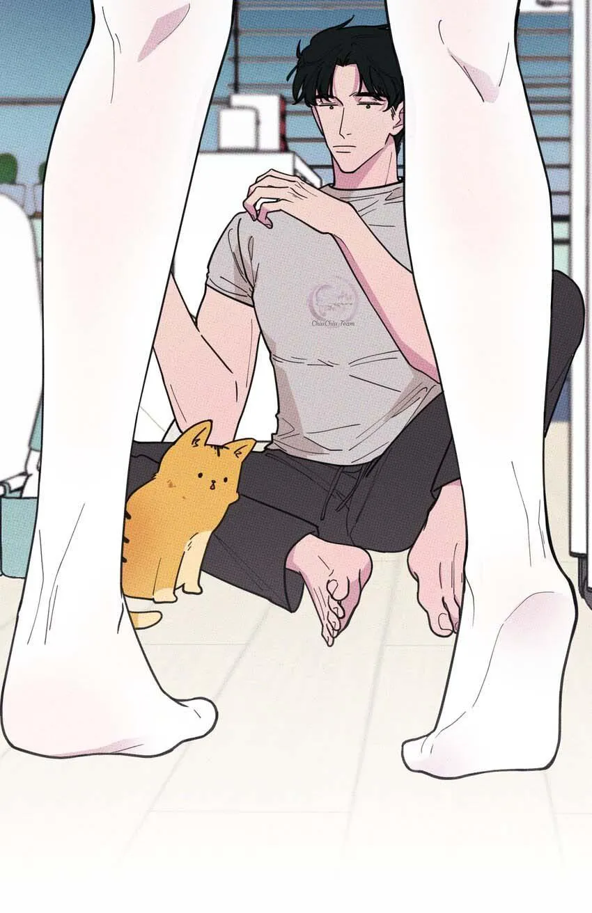 Hộp Bánh Quy Định Mệnh (END) Chapter 20 Trang 45