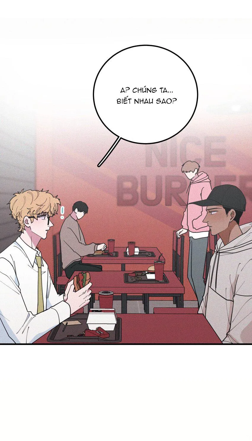 Hộp Bánh Quy Định Mệnh (END) Chapter 31 Trang 8