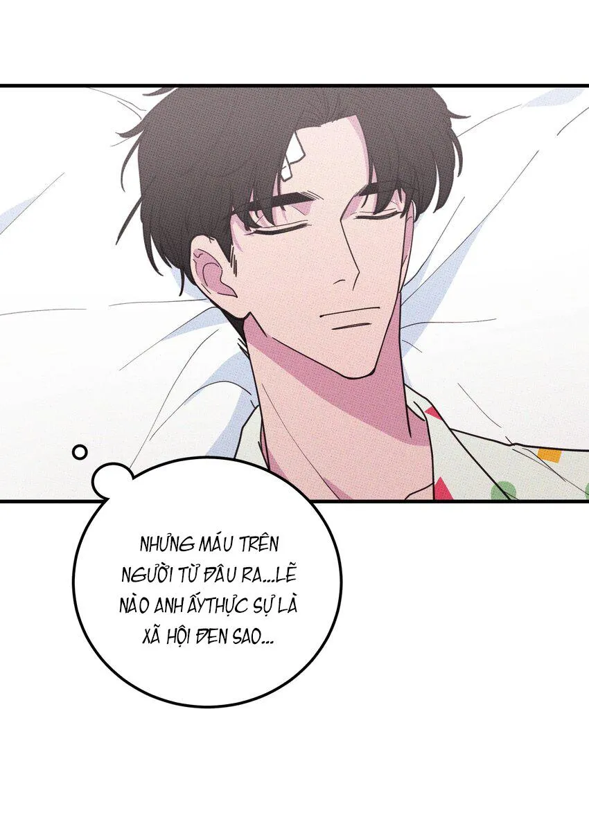 Hộp Bánh Quy Định Mệnh (END) Chapter 32 Trang 45