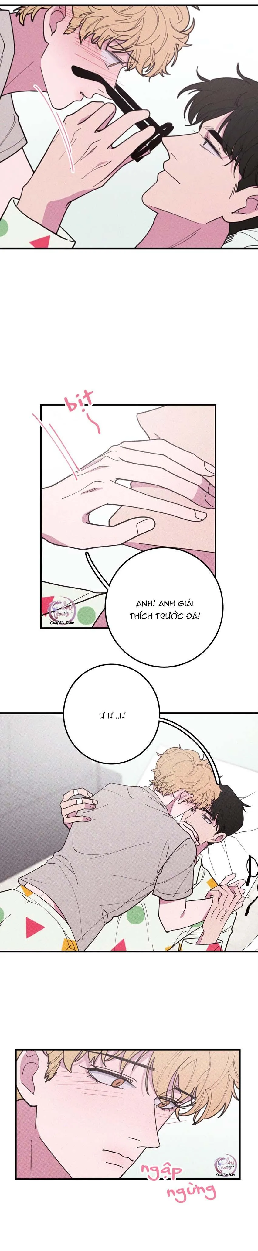 Hộp Bánh Quy Định Mệnh (END) Chapter 33 Trang 4