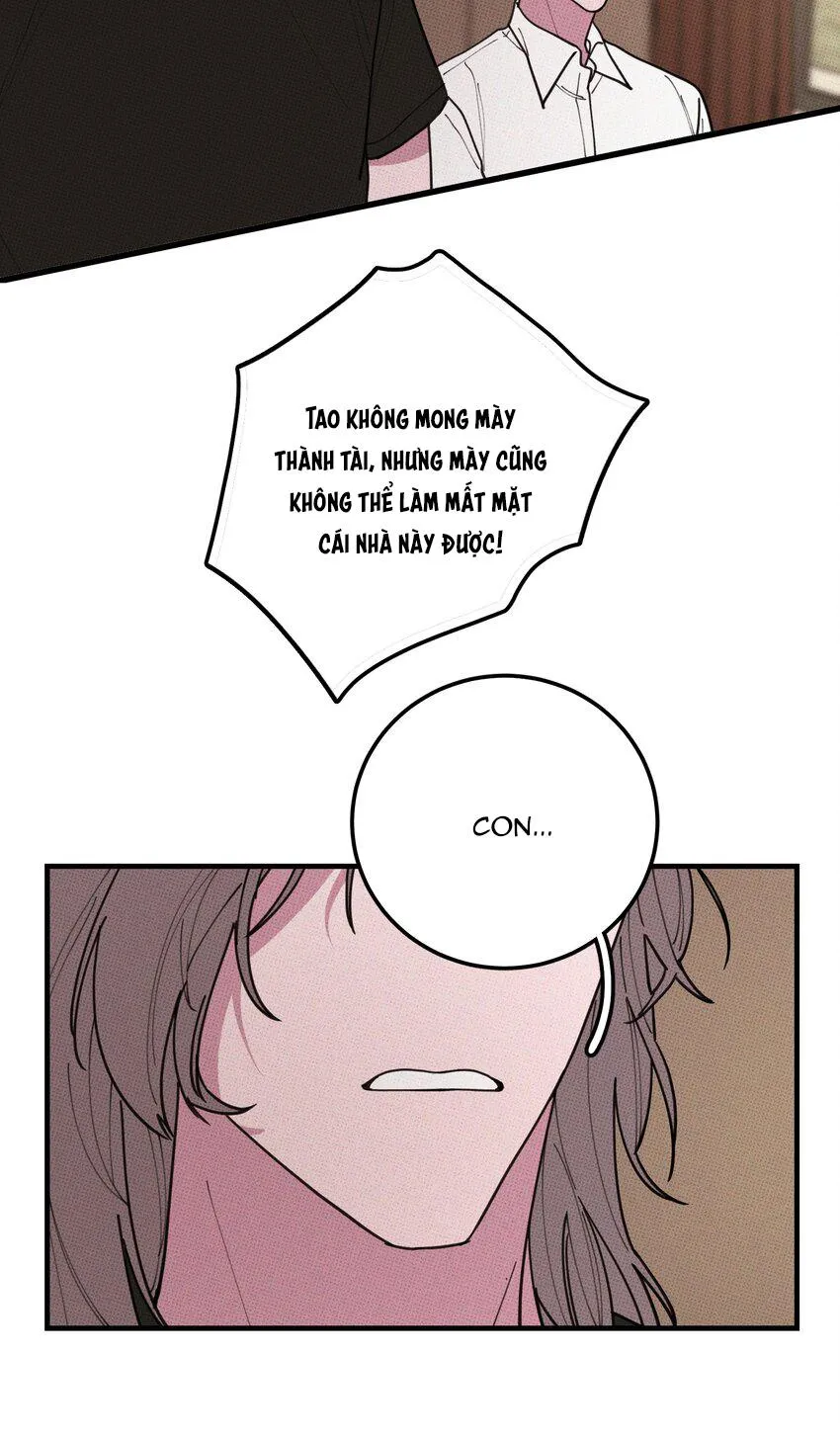 Hộp Bánh Quy Định Mệnh (END) Chapter 34 Trang 15