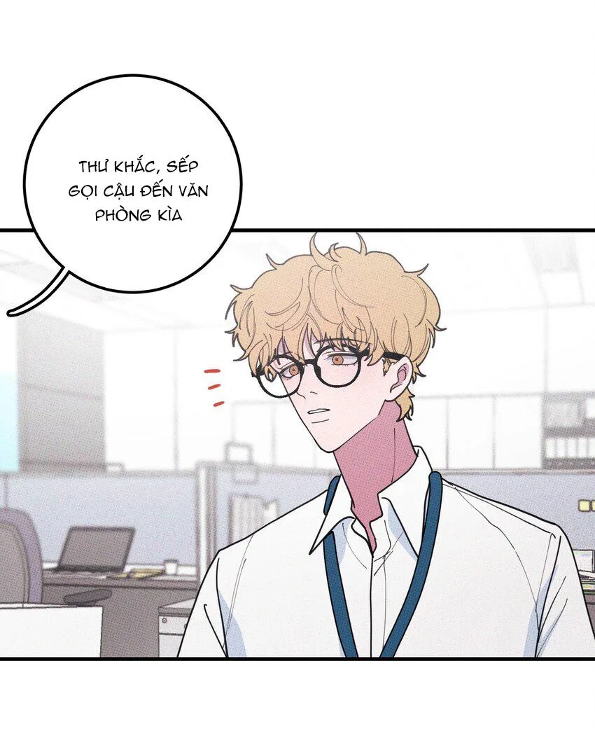 Hộp Bánh Quy Định Mệnh (END) Chapter 35 Trang 15