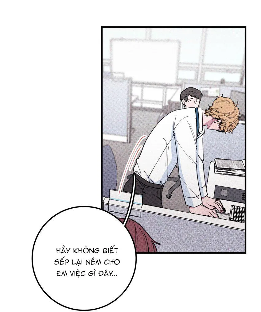 Hộp Bánh Quy Định Mệnh (END) Chapter 35 Trang 16