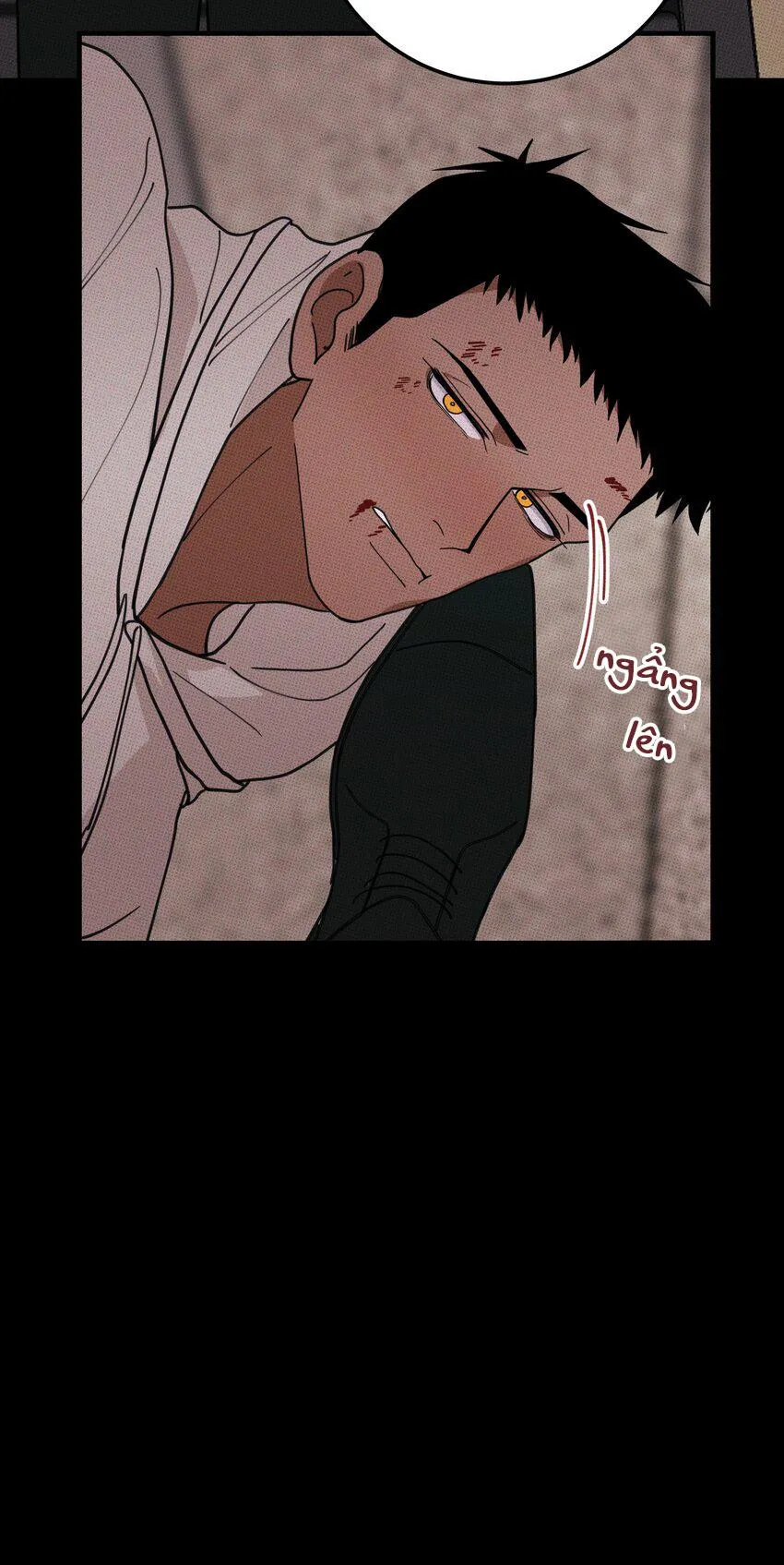 Hộp Bánh Quy Định Mệnh (END) Chapter 35 Trang 21