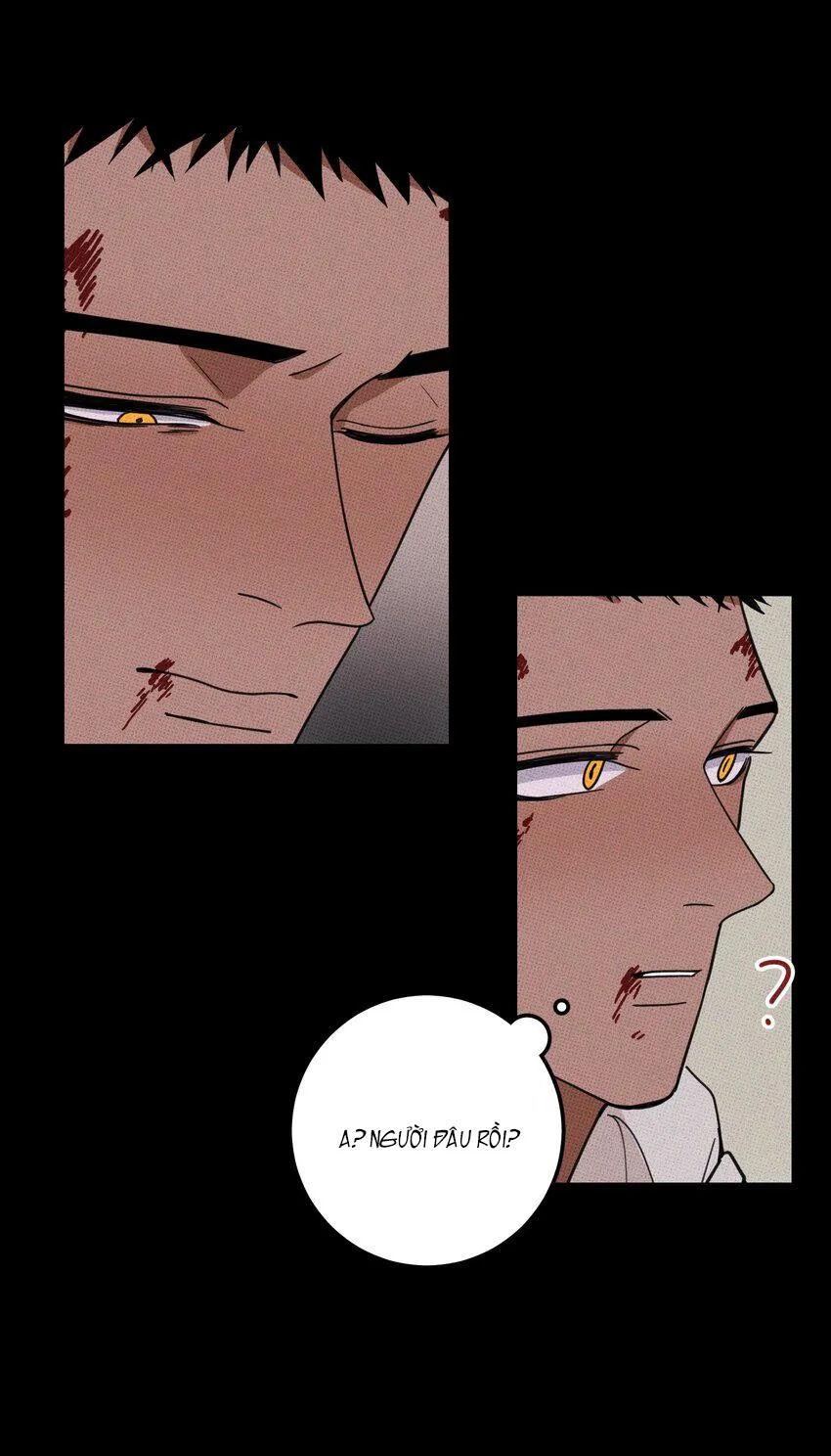 Hộp Bánh Quy Định Mệnh (END) Chapter 35 Trang 37