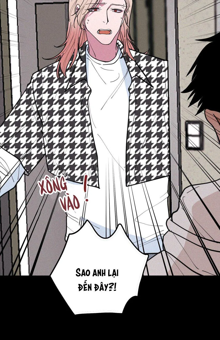 Hộp Bánh Quy Định Mệnh (END) Chapter 35 Trang 41