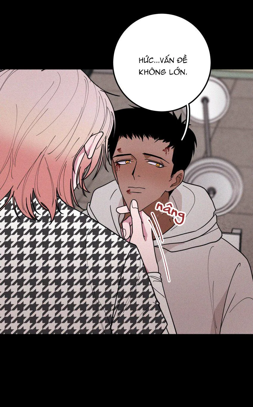 Hộp Bánh Quy Định Mệnh (END) Chapter 35 Trang 43