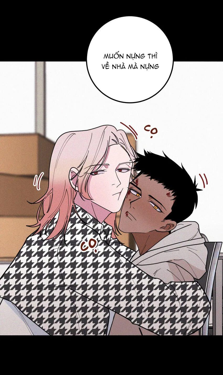 Hộp Bánh Quy Định Mệnh (END) Chapter 35 Trang 45