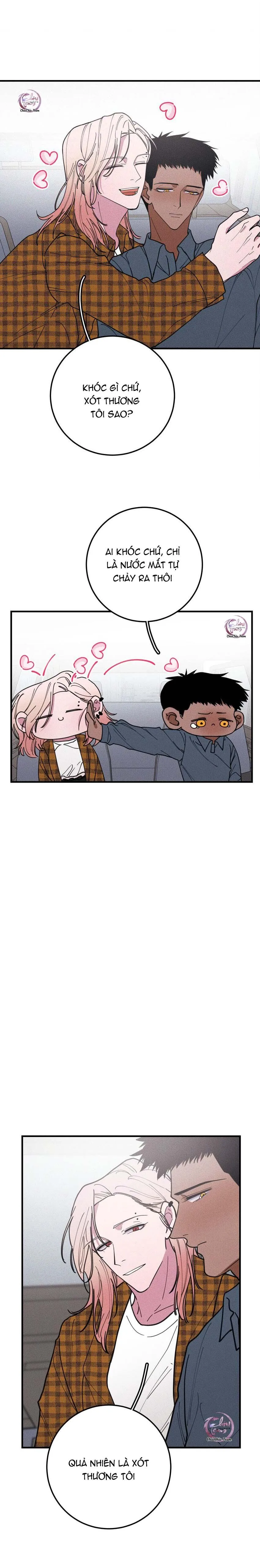 Hộp Bánh Quy Định Mệnh (END) Chapter 38 Trang 13