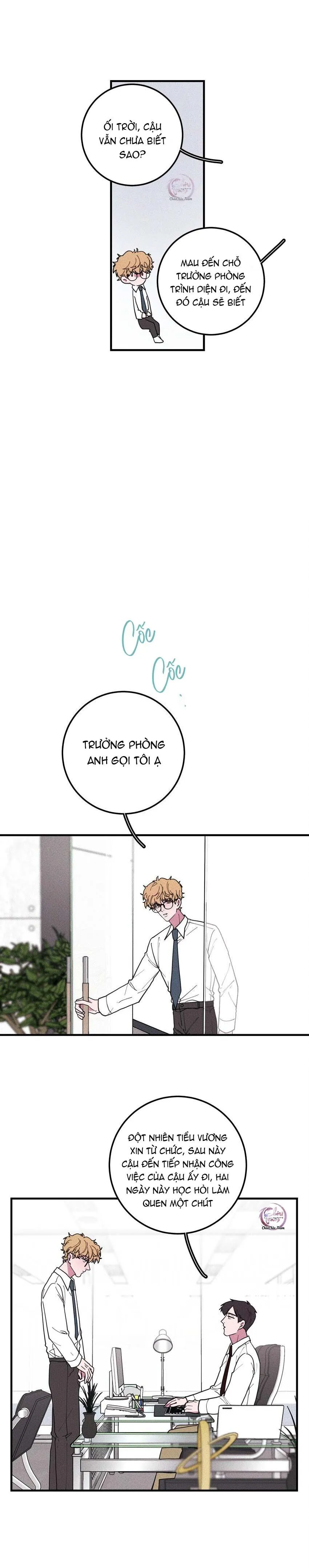 Hộp Bánh Quy Định Mệnh (END) Chapter 40 Trang 12