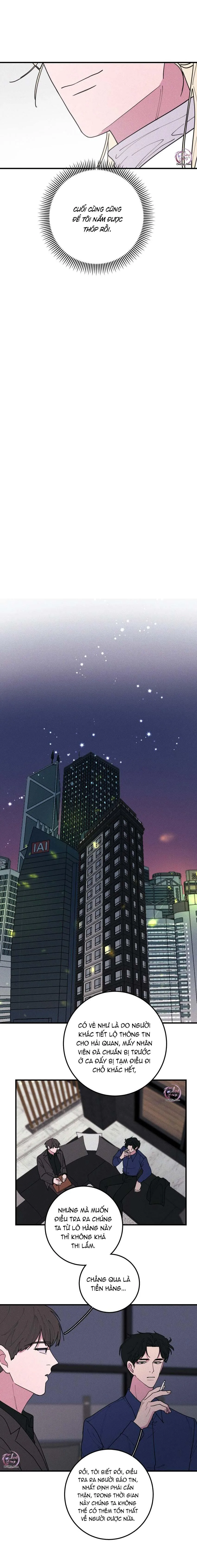 Hộp Bánh Quy Định Mệnh (END) Chapter 41 Trang 11