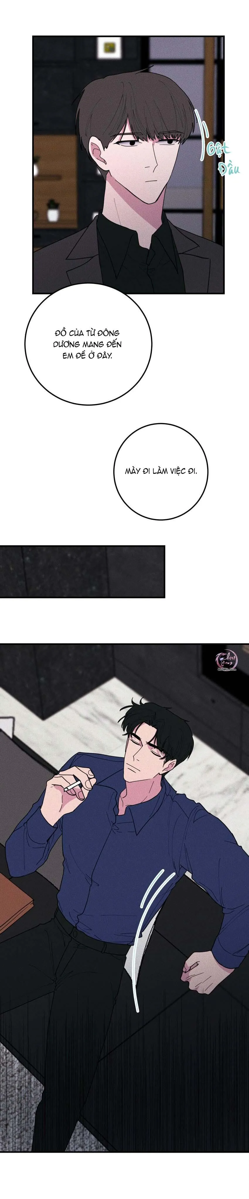 Hộp Bánh Quy Định Mệnh (END) Chapter 41 Trang 12