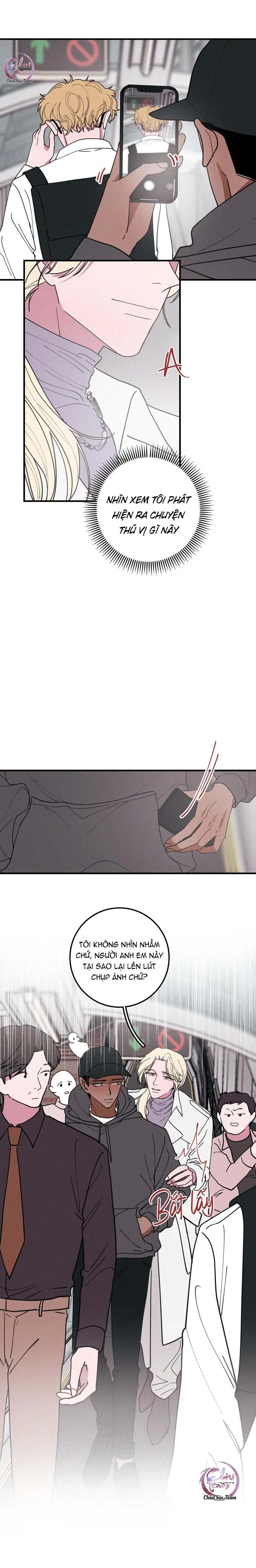 Hộp Bánh Quy Định Mệnh (END) Chapter 44 Trang 3