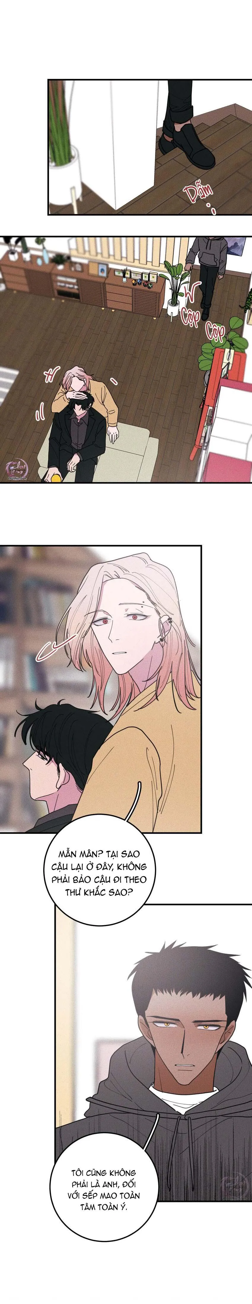 Hộp Bánh Quy Định Mệnh (END) Chapter 44 Trang 10