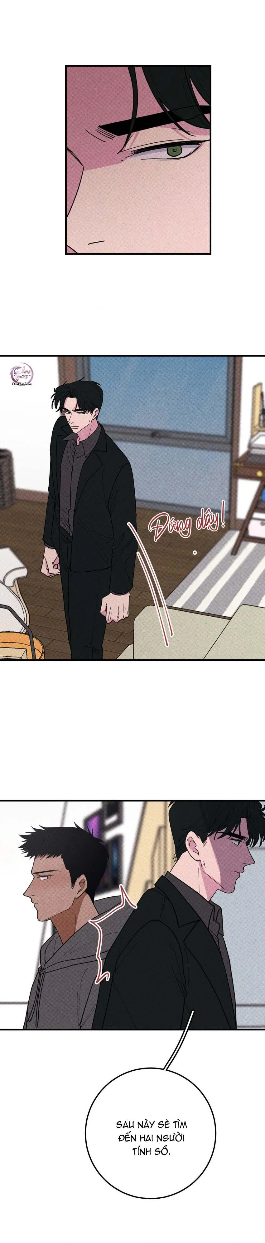 Hộp Bánh Quy Định Mệnh (END) Chapter 44 Trang 11