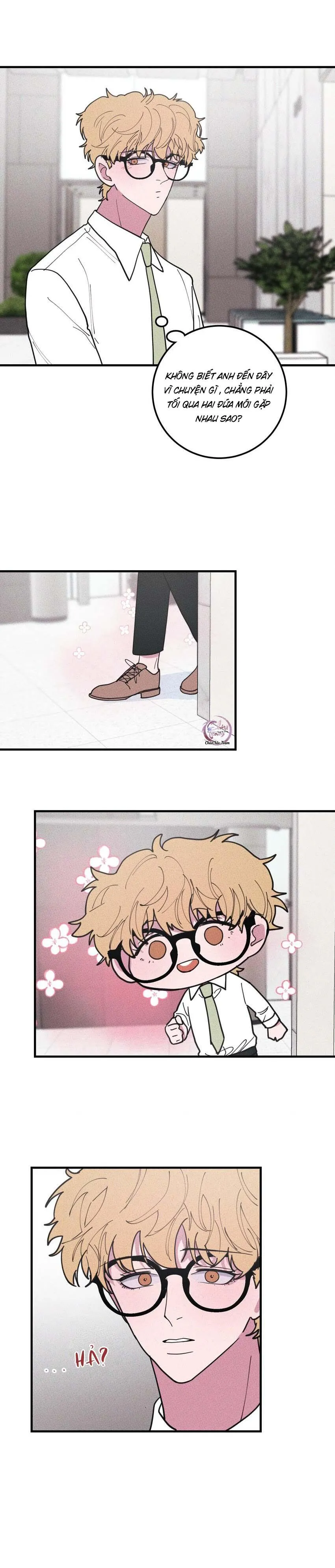 Hộp Bánh Quy Định Mệnh (END) Chapter 45 Trang 7